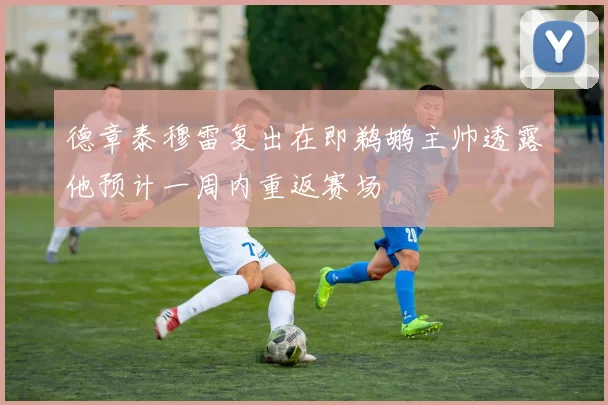德章泰穆雷复出在即鹈鹕主帅透露他预计一周内重返赛场