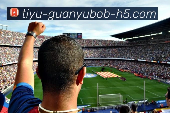 BOB体育平台生态图