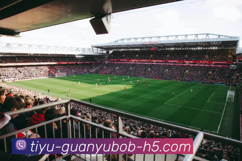 BOB体育APP 封面图