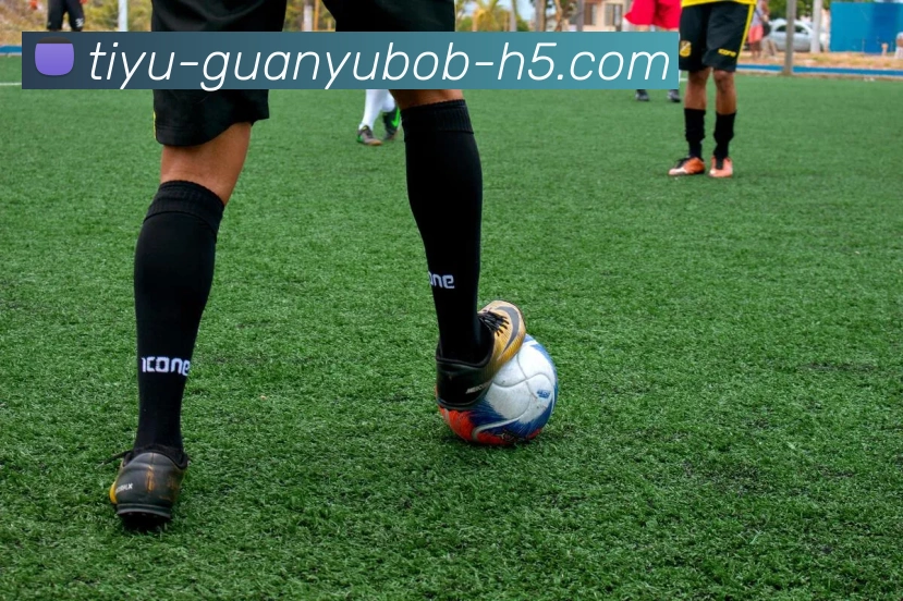 数据防护可视化